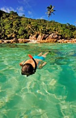 Cousine Island  - Snorkeling